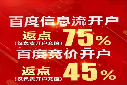 百度广告推广案例：拓展市场份额